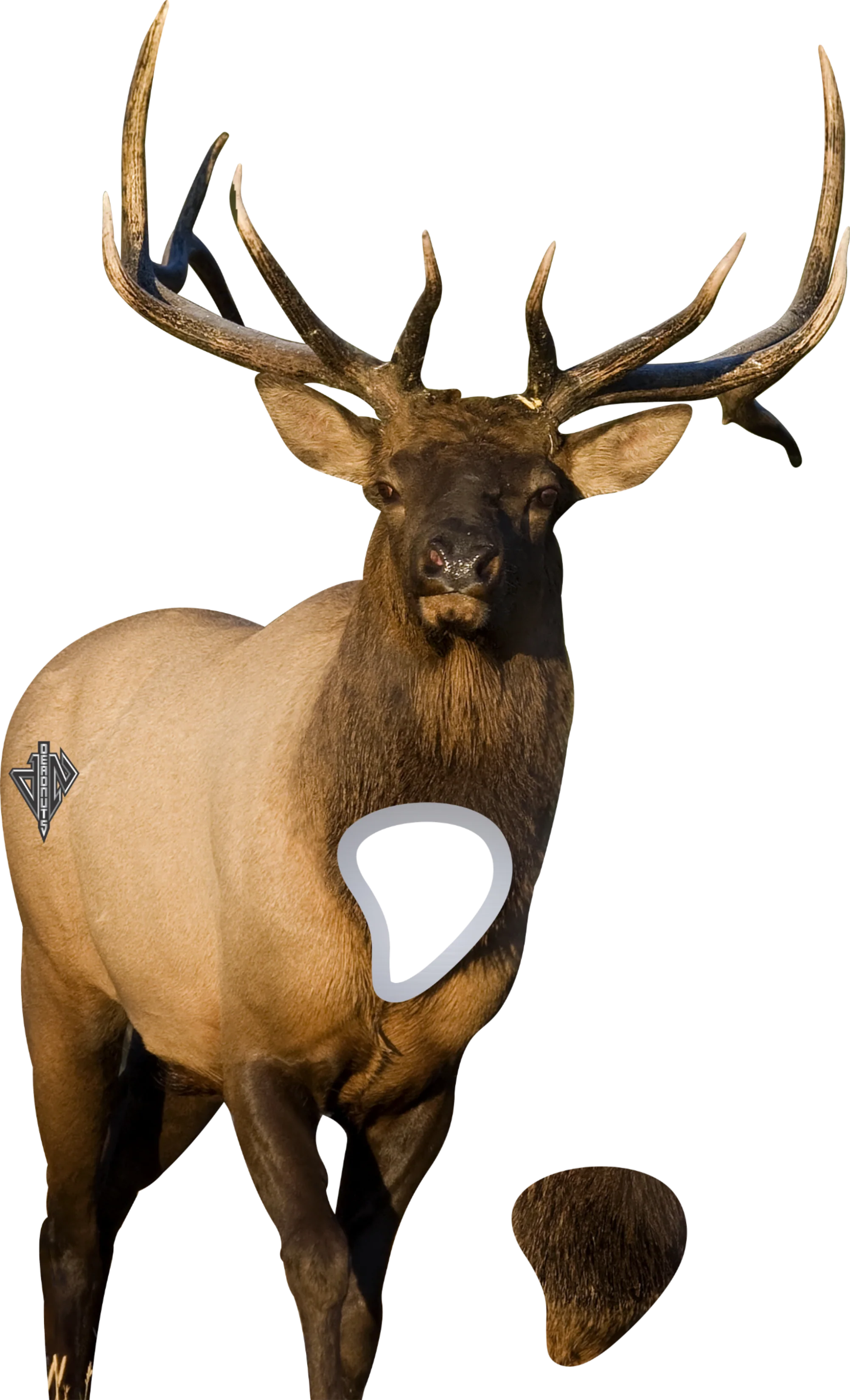 2D Bull Elk Frontal Target - Image 2