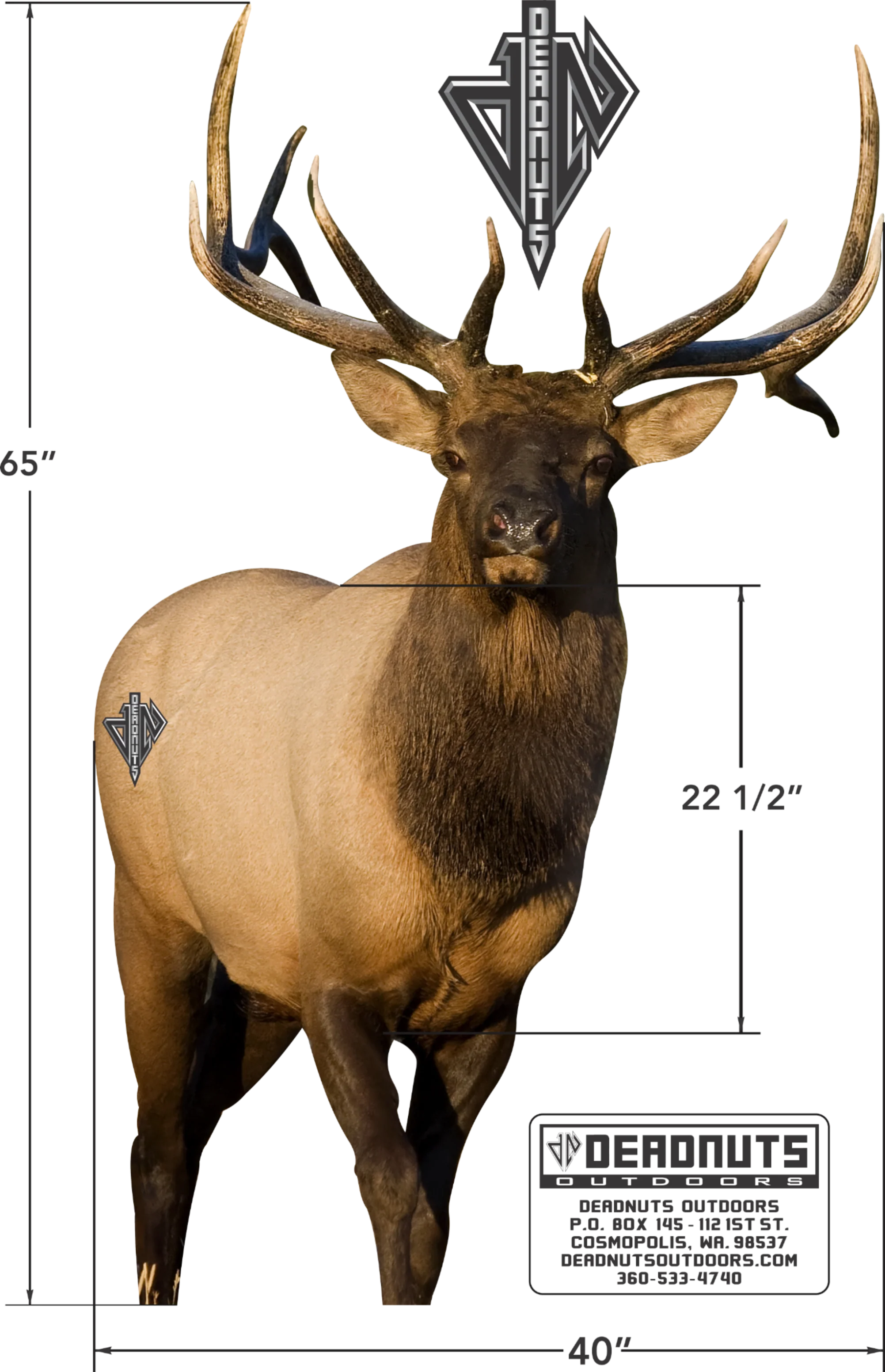 2D Bull Elk Frontal Target - Image 3