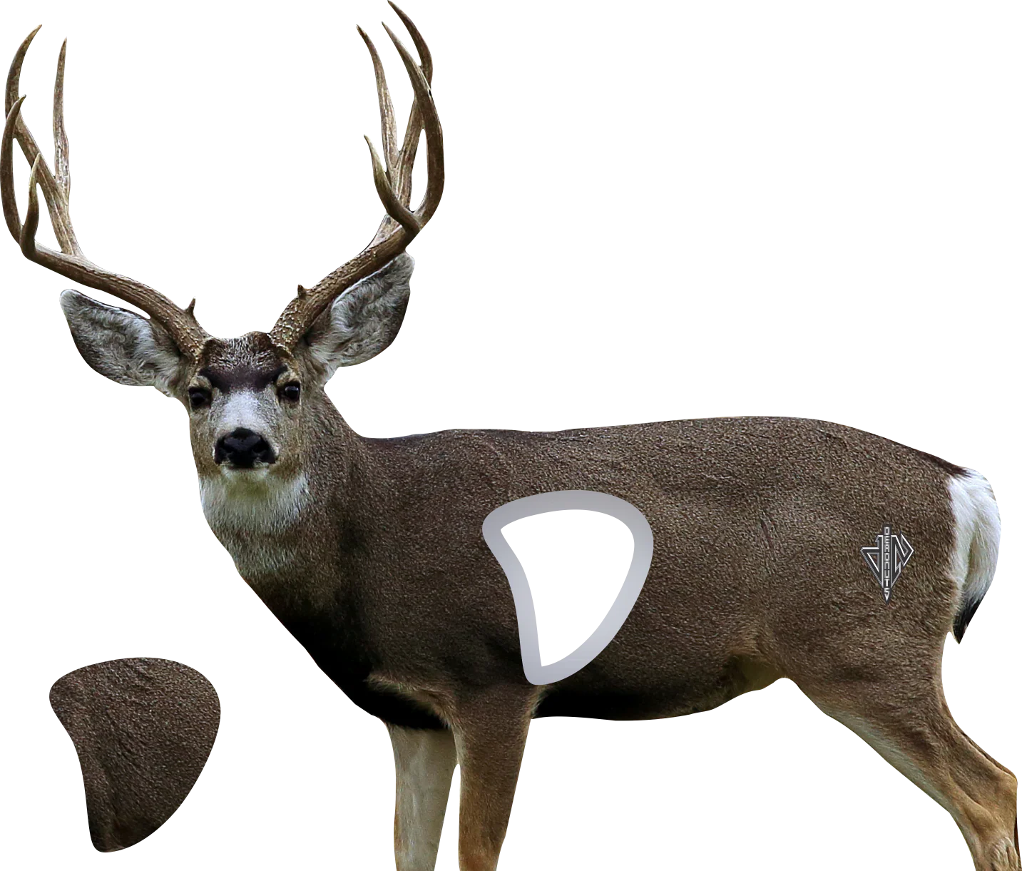 2D Mule Deer Broadside Target - Image 2