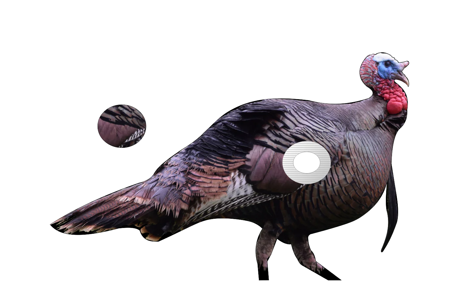 2D Tom Turkey Broadside Target - Image 2
