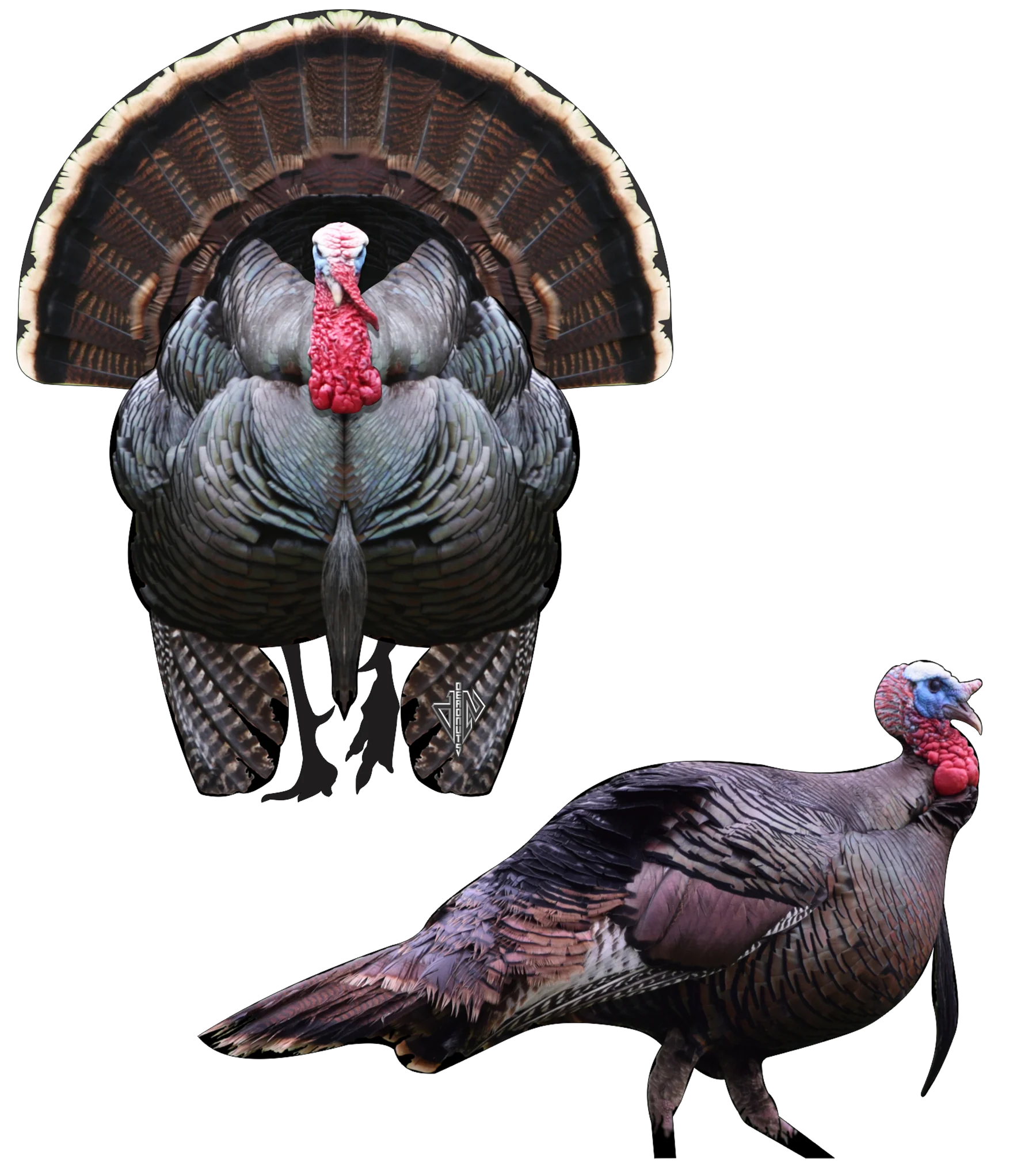 2D Tom Turkey Frontal & Broadside Targets Combo Pack