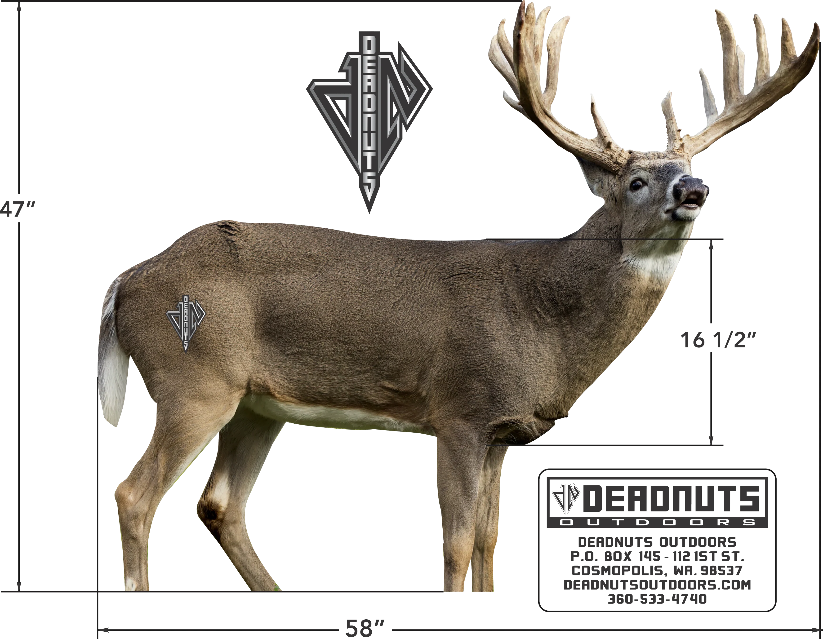 2D Whitetail Broadside Target - Image 3