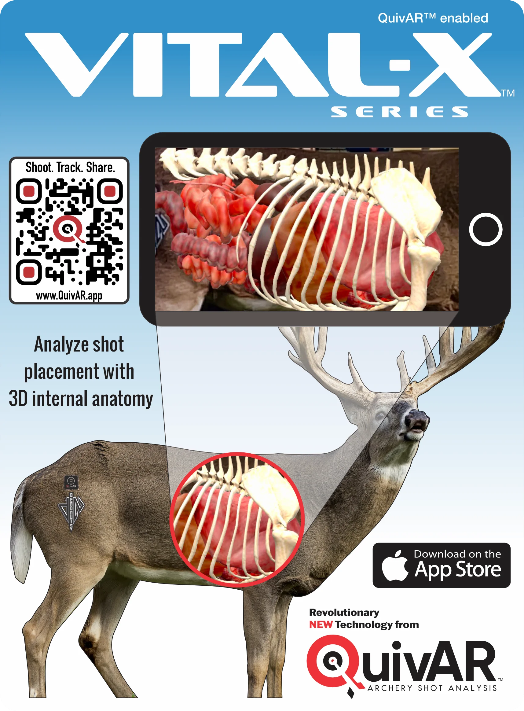 2D Whitetail Broadside Target - Image 5