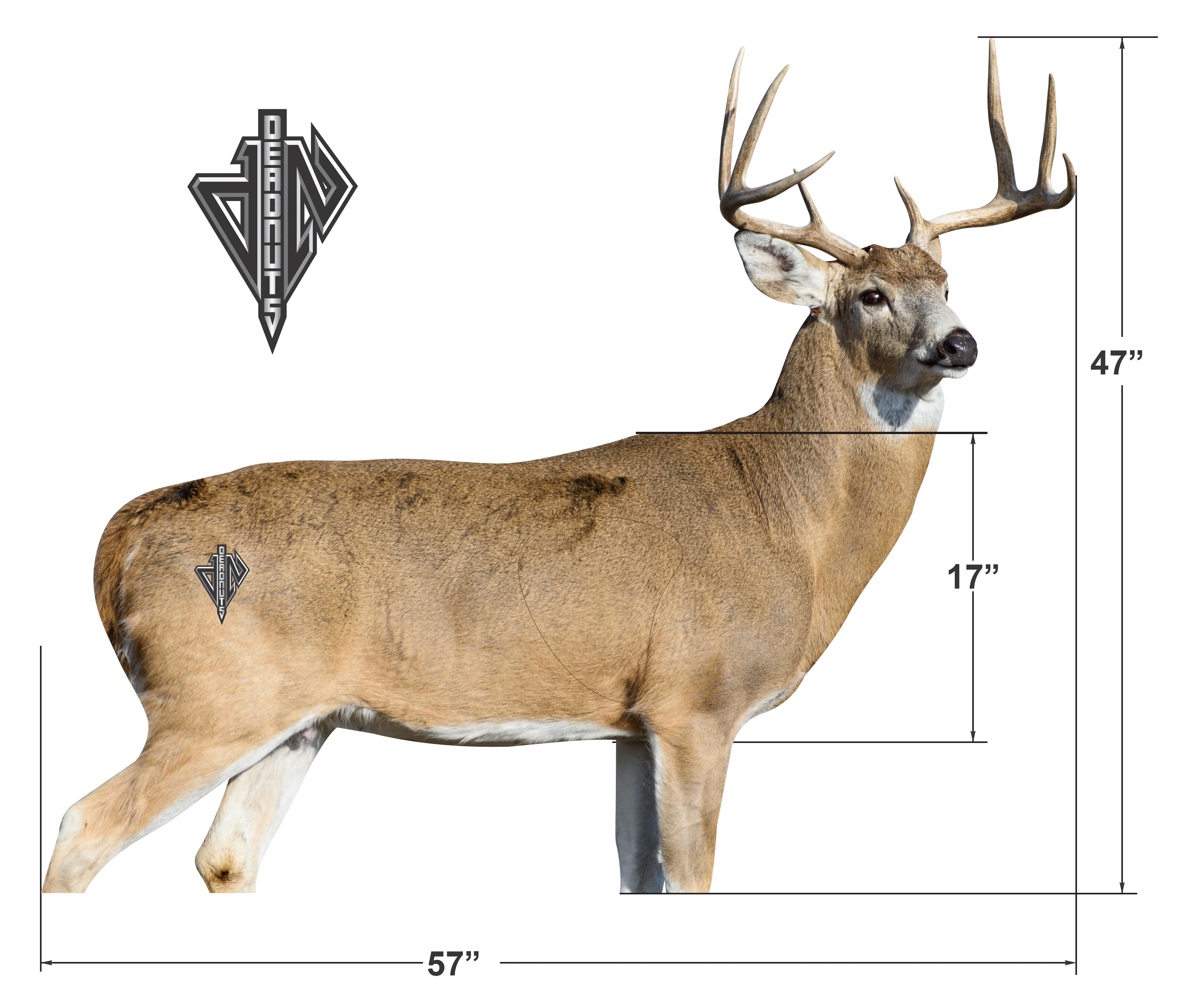 2D Whitetail "Willy" Broadside Target - Image 3