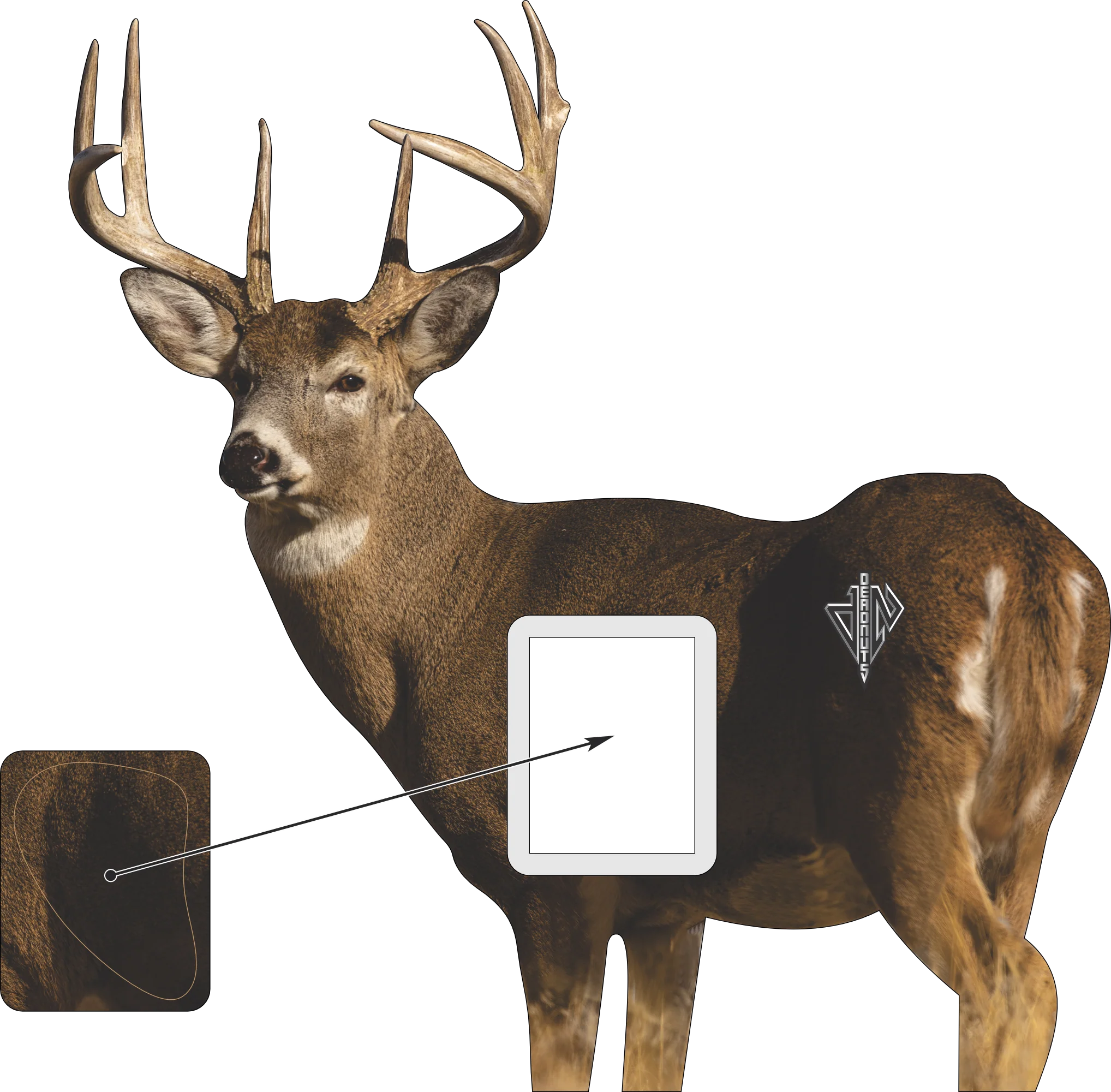 2D Whitetail "Willy" Quartering Away Target - Image 3
