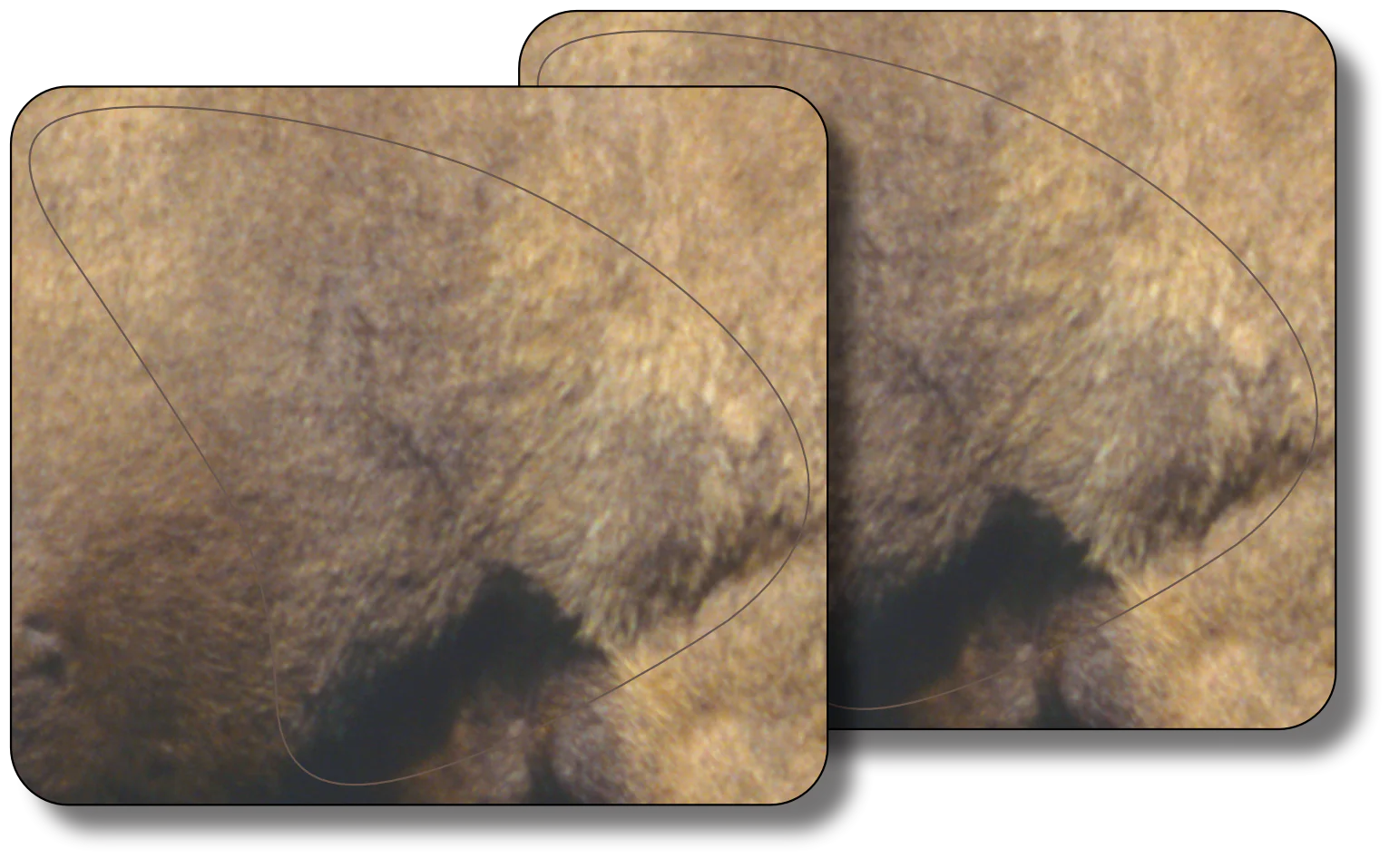 Bighorn Ram Broadside Vital Zone