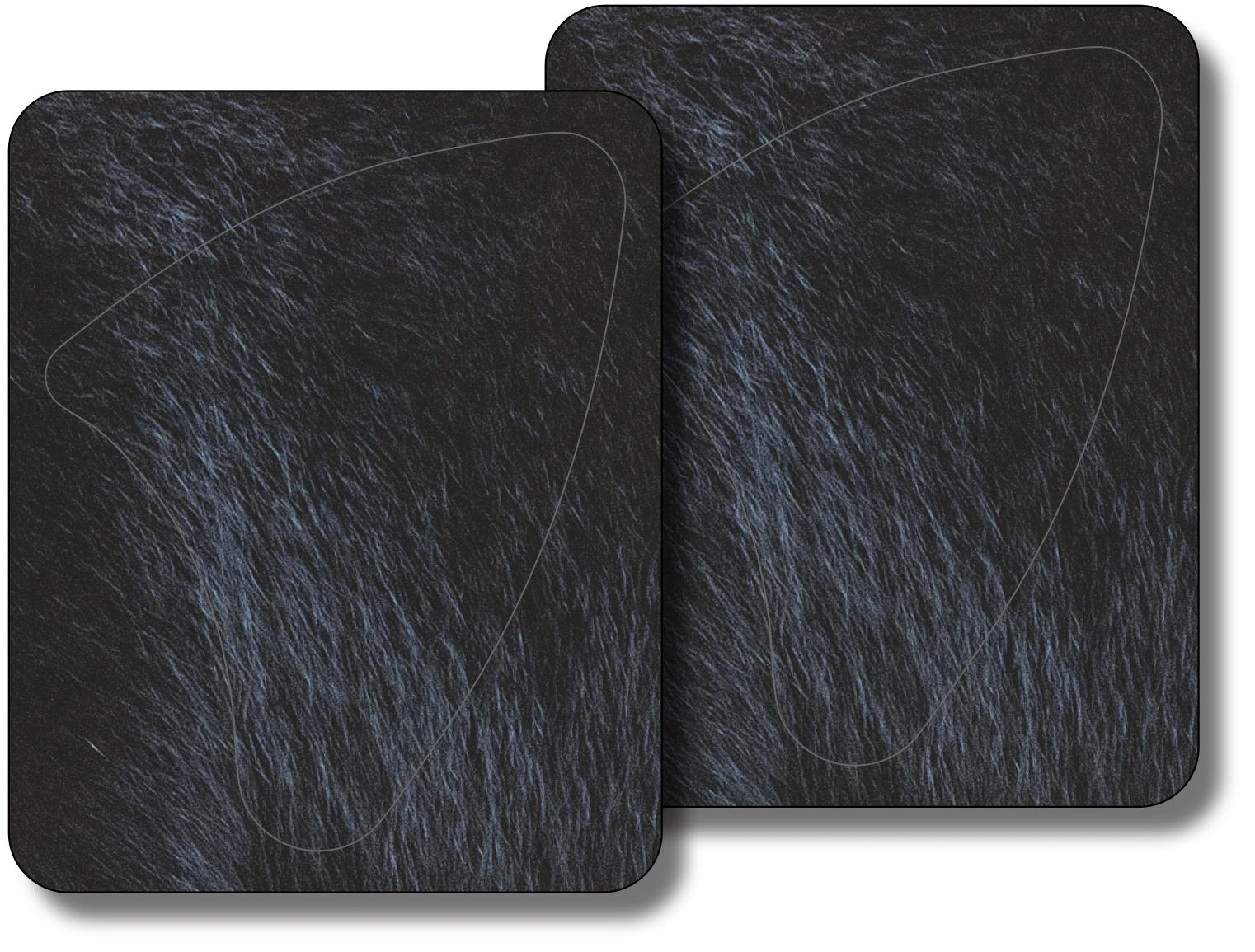 Black Bear Broadside Vital Zone