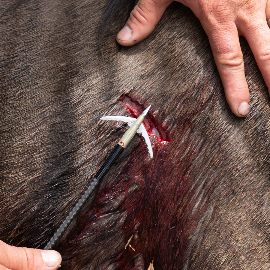 Bowmar BEAST BROADHEAD - Image 4