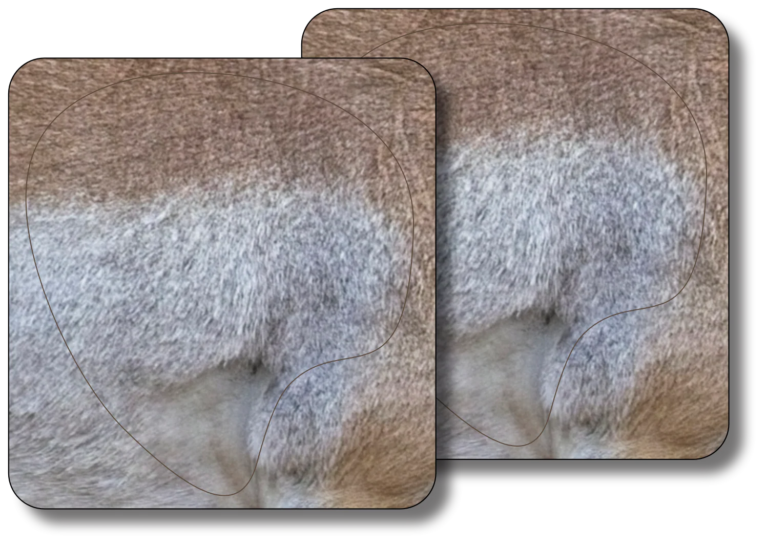 Broadside Pronghorn Vital Zone - 2 Pack