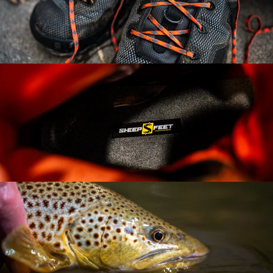 CreekFeet Custom Orthotics - COLLECTIVE - Image 3
