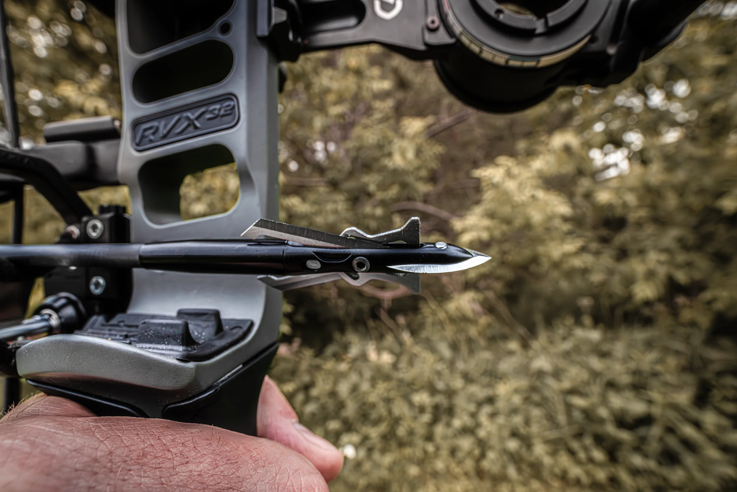 Crosscut 100 - Image 10