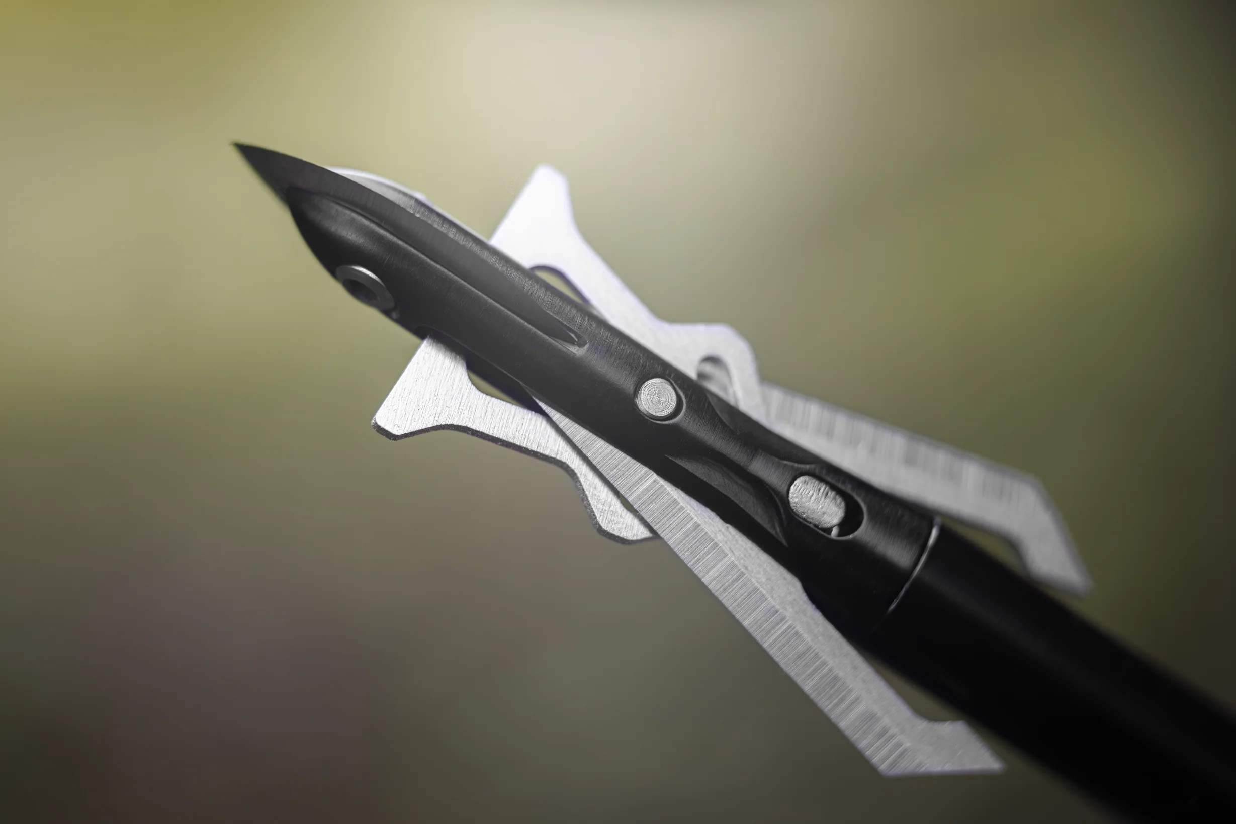 Crosscut 100 - Image 9