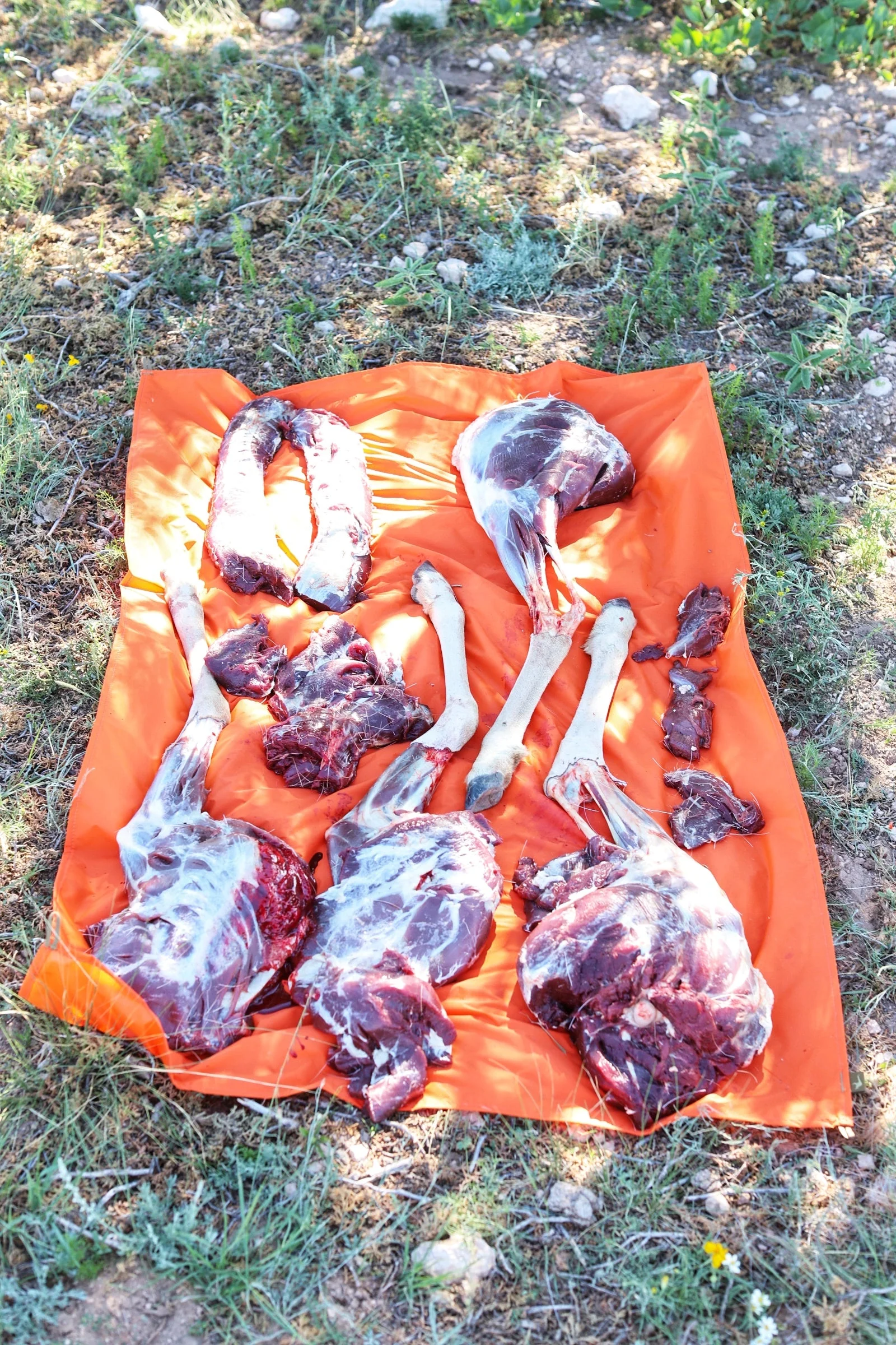 Meat Tarp - Image 3