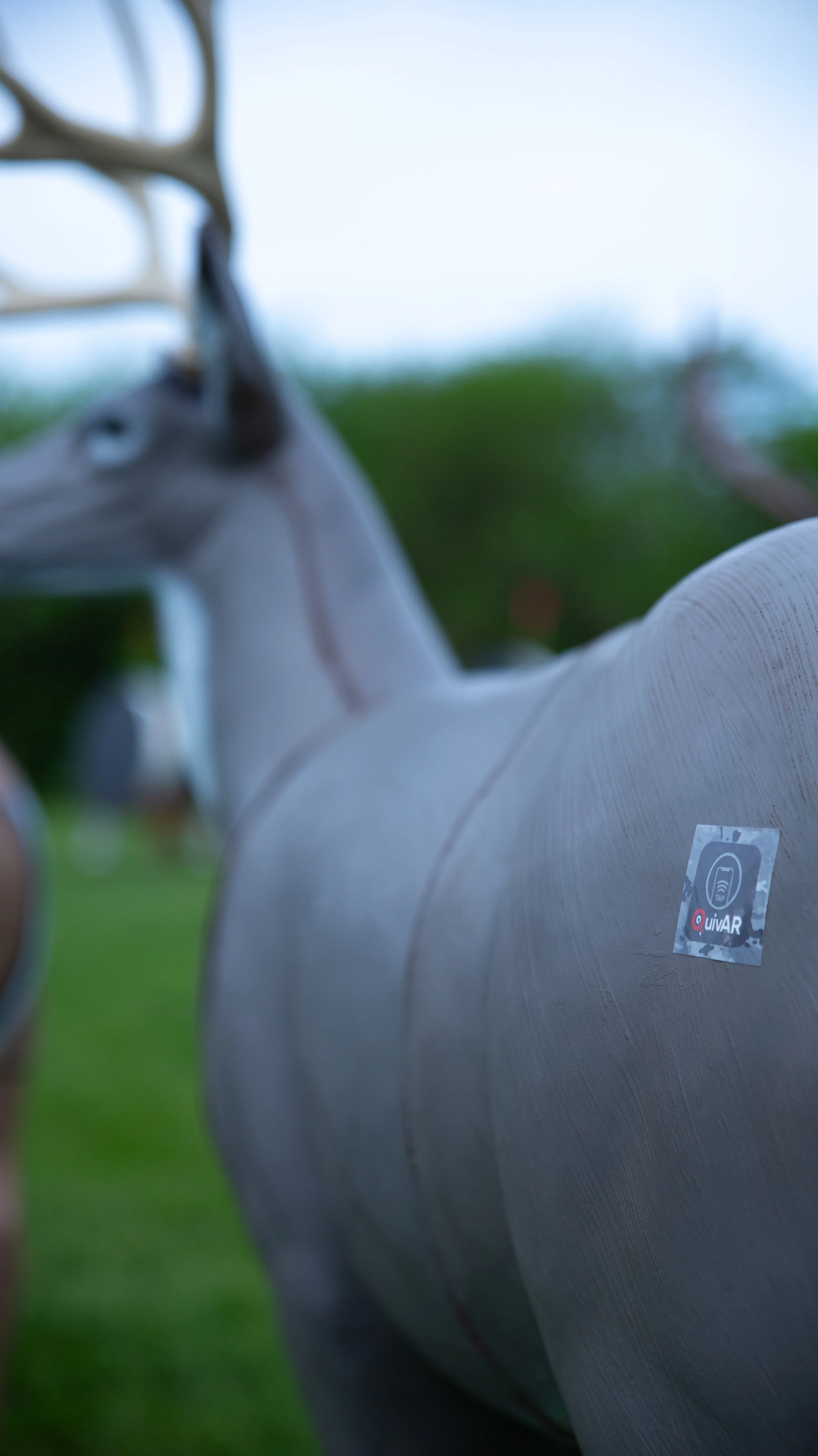 QuivAR Enabled Mule Deer - Image 3