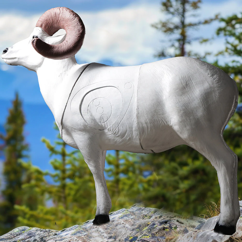 Real Wild 3D Dall Sheep - Image 2