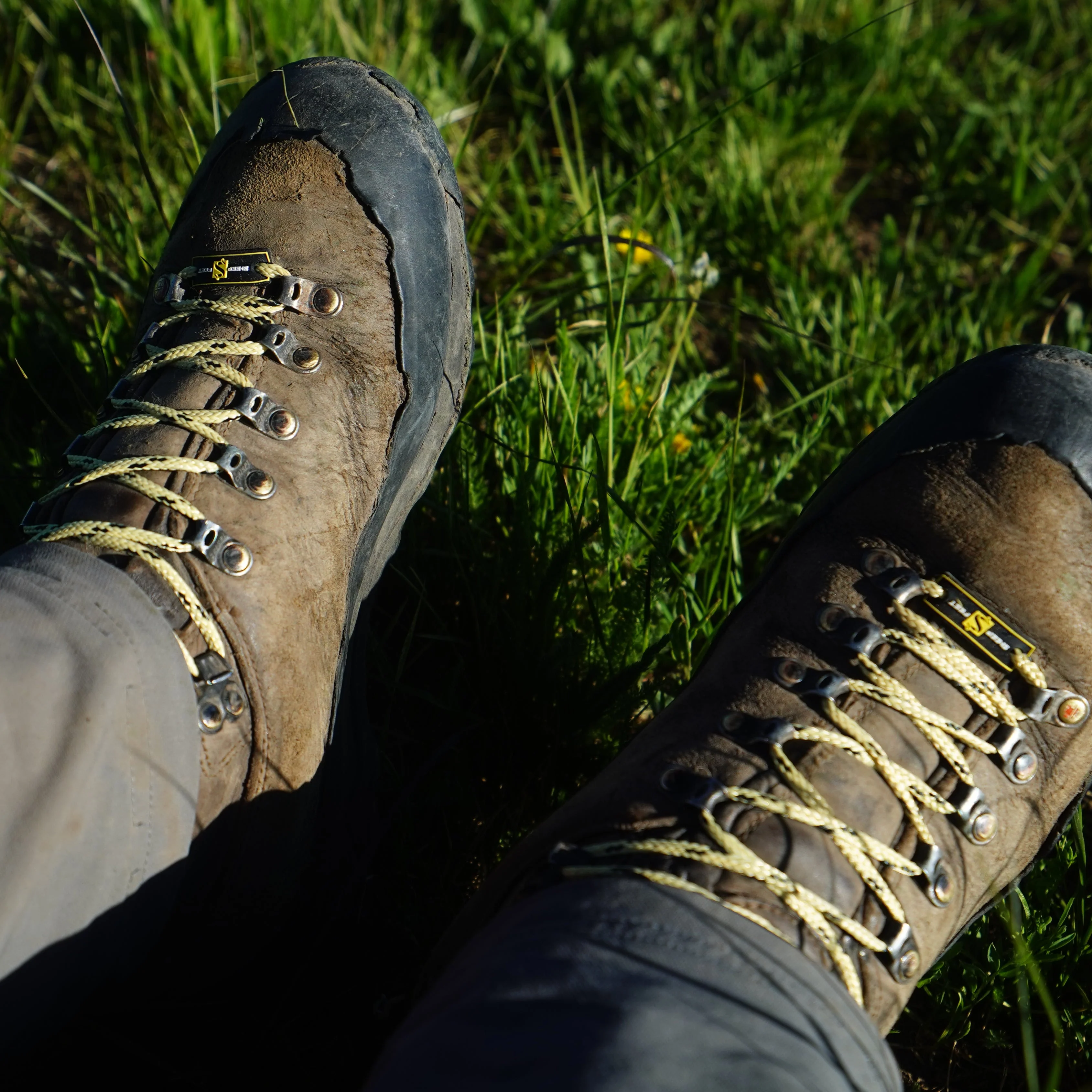 Rugged Laces - Image 2