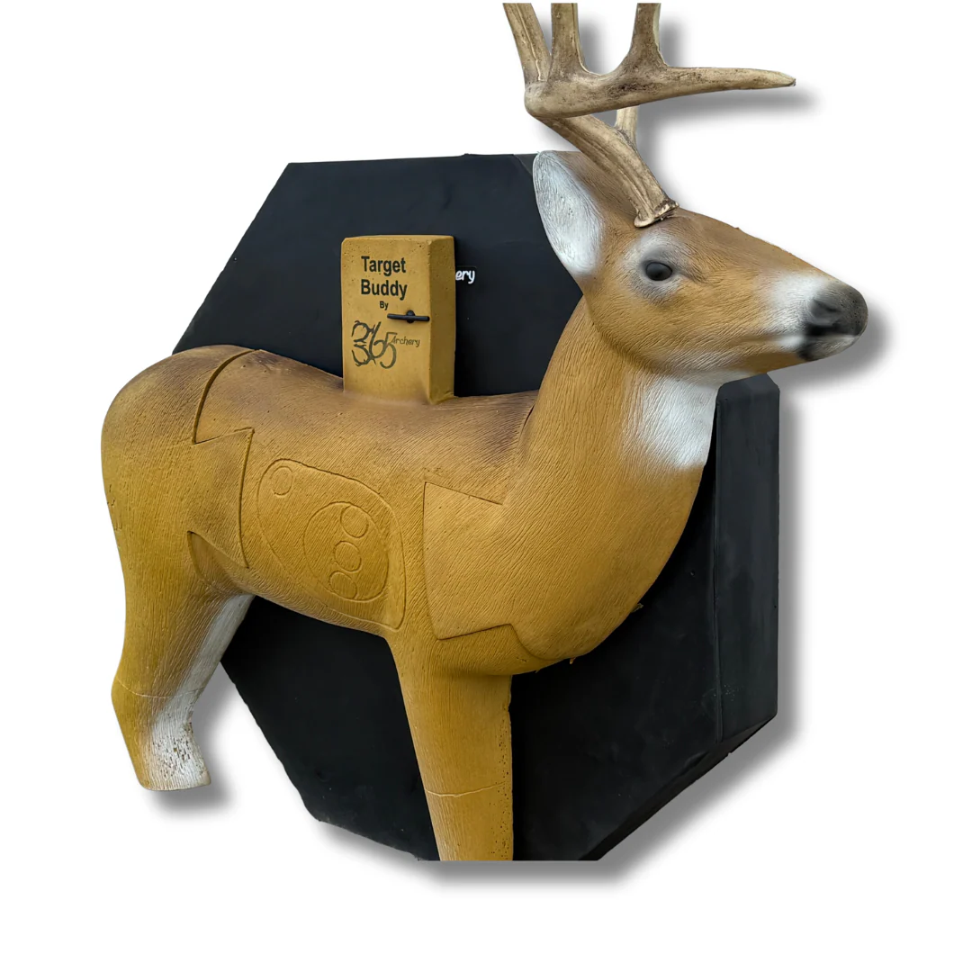 Target Buddy - Whitetail Deer - Image 4