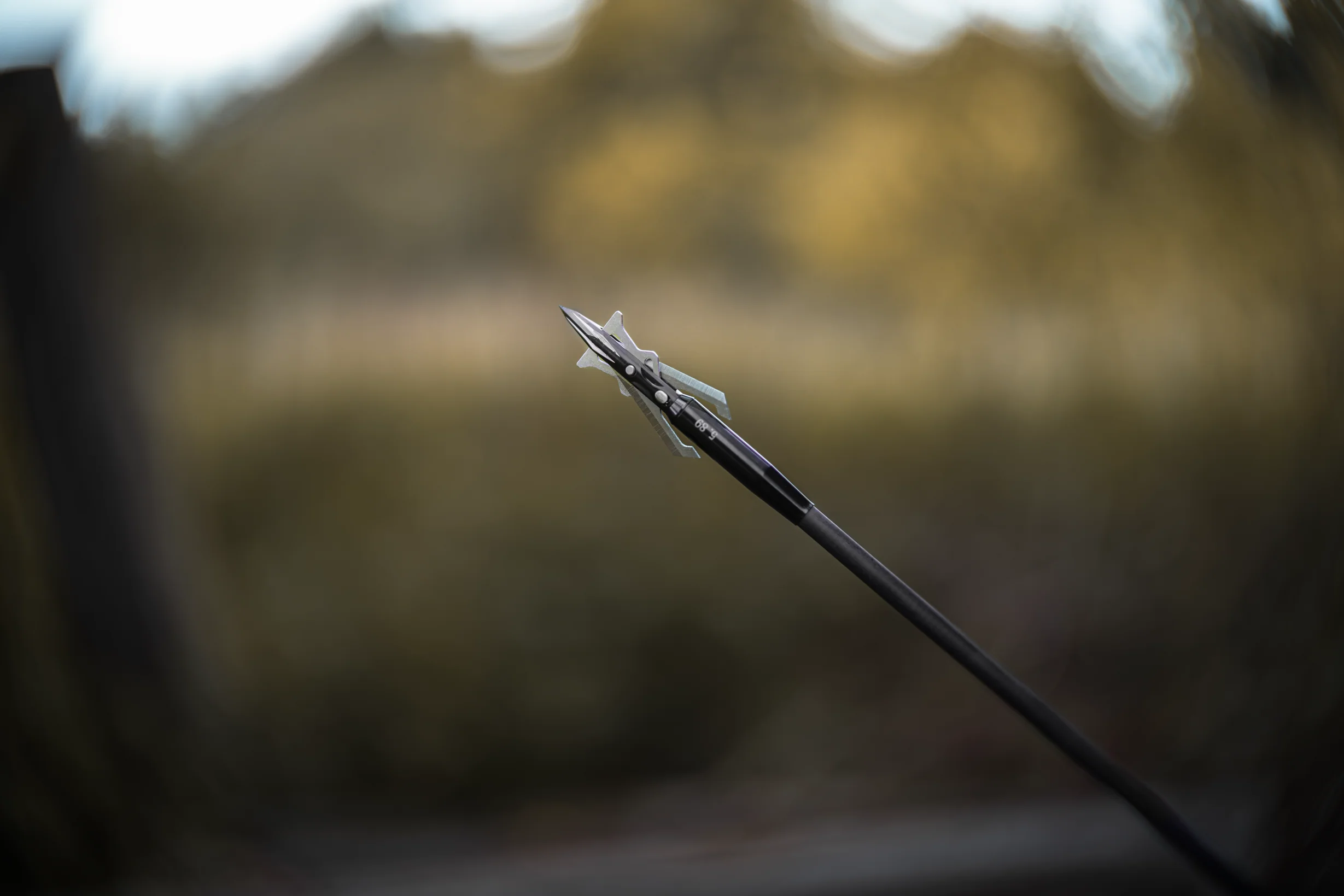 Titanium 100 - Image 4