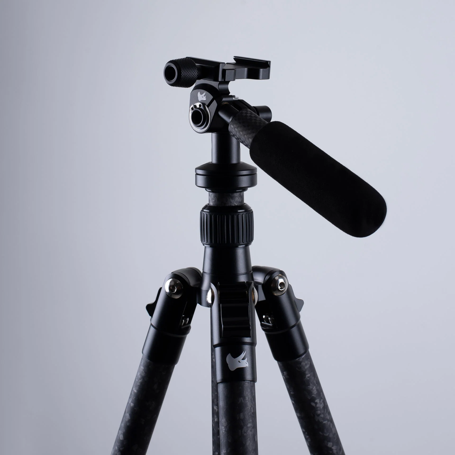 Tricer-LP - Image 2