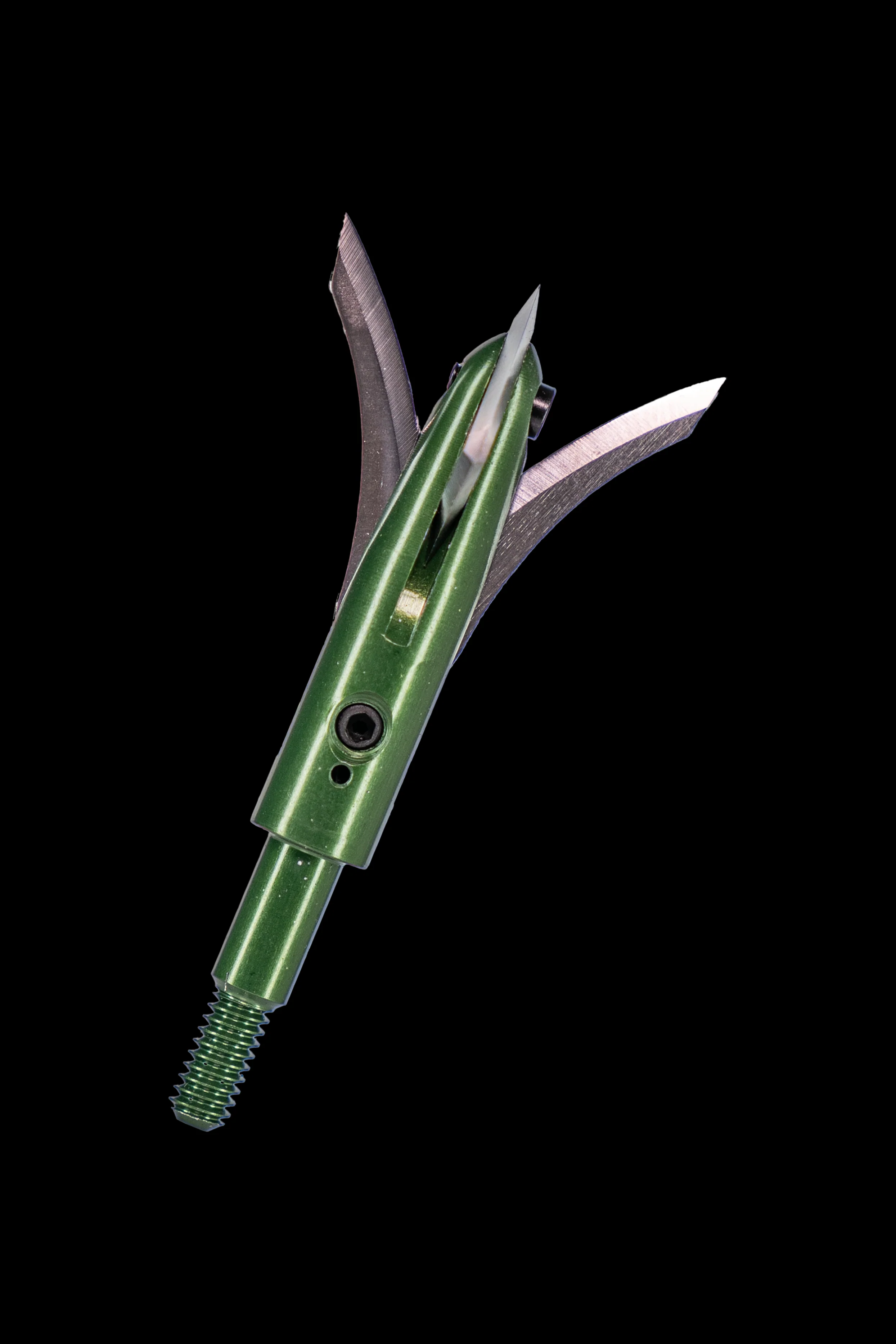WHITETAIL FURY - Image 3